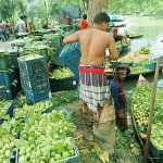 সামান্য বৃষ্টিতেই ডুবছে বরিশাল নগরী