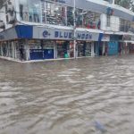 ভাসমান পেয়ারার রাজ্যে ভীমরুলী