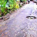সৌন্দর্য হারাচ্ছে কুয়াকাটা