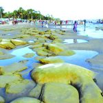 প্রশ্নপত্র ফাঁস: শেষ কোথায়?