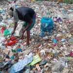 বাউফলে বিষাক্ত সাপের কামড়ে যুবক মৃত্যু