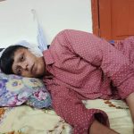 ভাসমান পেয়ারার রাজ্যে ভীমরুলী