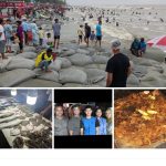 বাউফলে প্যারালিগাল সহায়কদের অভিজ্ঞতা বিনিময়