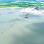 সাইবার নিরাপত্তা আইন যেন বাকস্বাধীনতা ক্ষুণ্ন ও নিপীড়নমূলক না হয়
