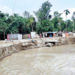 সাতক্ষীরায় হলুদ তরমুজ চাষে আগ্রহ বাড়ছে
