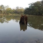 ভারত-পাকিস্তানি প্রতিষ্ঠানের হাতে এনআইডির ভান্ডার’