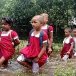 নিত্যপণ্যের বাজারে আগুন