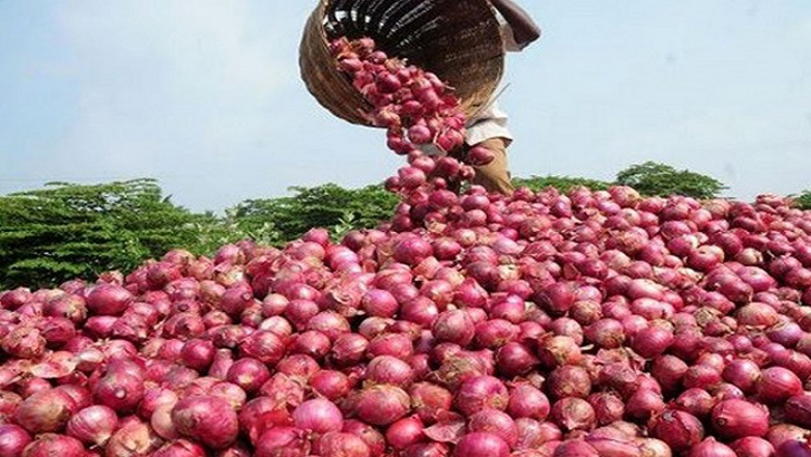 পেঁয়াজের বাজার অস্থির 5 image 709290 1692634210