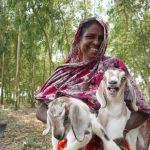 এস আলমের আলাদিনের চেরাগ