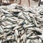 নতুন সিনেমায় অ্যাঞ্জেলিনা জোলি