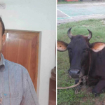 নলছিটিতে  ৪০ বছর পর আটক হলো সাজাপ্রাপ্ত আসামী মো: আনোয়ার হোসেন
