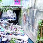 বরিশালে ডেঙ্গুতে এক মাসে ২৯ জনের মৃত্যু