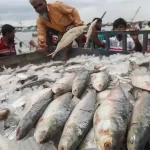 সাংবাদিক নাদিম হত্যার প্রধান আসামি বাবুকে হাইকোর্টের দেয়া জামিন স্থগিত