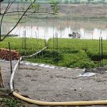 রুপালি ইলিশের চড়া দাম