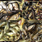 কর্মীদের কাঠগড়ায় ছাত্রলীগের হাইকমান্ড