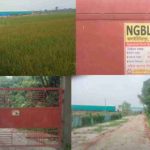 বান্দরবান জেলার শ্রেষ্ঠ প্রধান শিক্ষক সাবিনা ইয়াছমিন