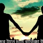 আসন্ন দ্বাদশ জাতীয় সংসদ নির্বাচনে শেরপুরে নৌকা মার্কায় ভোট চেয়ে গণসংযোগ করলেন জান্নাতুল ফেরদৌসী রুপা