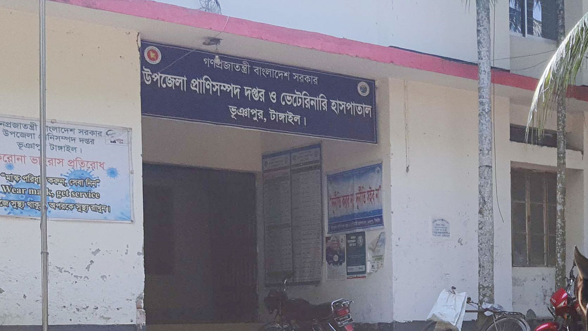 tangail1 20230905231745