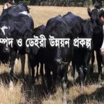 গায়ে হলুদের অনুষ্ঠান থেকে কনেকে তুলে নিয়ে গেলেন ছাত্রলীগ নেতা