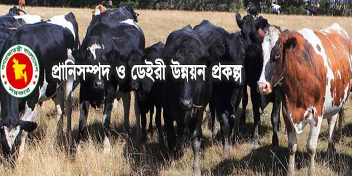 ও ডেইরি উন্নয়ন.jpg