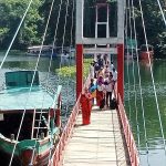 দূর্গাপূজা চলাকালে নিরাপত্তা নিশ্চিতে টহলে থাকবে পেকুয়ার প্রশাসন–এম পি জাফর আলম