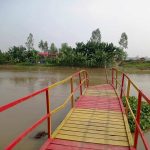 কুয়াকাটায় ডিবি পুলিশ ও থানা পুলিশের অভিযানে পৃথক মাদক ব্যবসায়ী গ্রেপ্তার-৩