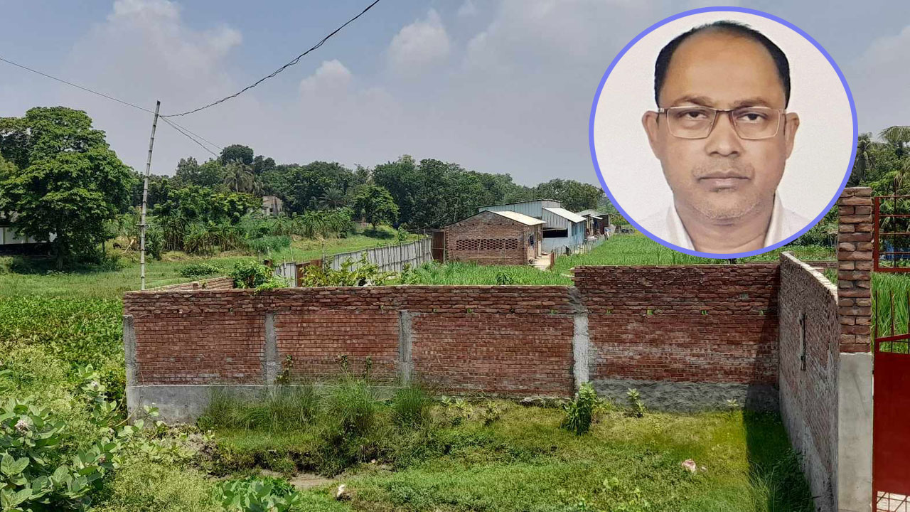 কুষ্টিয়ার ভেড়ামারায় হিসনা নদী দখল করে গরুর খামার 5 al leader 20231014190546