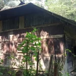 নলছিটিতে ১৬০ বস্তা অবৈধ নিষিদ্ধ পলিথিন জব্দ