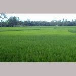 খালেদা জিয়ার বিদেশে চিকিৎসা: ‘আইনে সুযোগ আছে’
