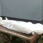 ঝিনাইদহে ৫৩৮ কোটি টাকার ড্রাগন উৎপাদন, হাজারো মানুষের কর্মসংস্থান