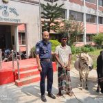 খাগড়াছড়িতে বেপরোয়া গতির বাস উল্টে আহত ৩০