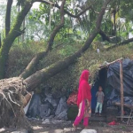 আল জাজিরার সাংবাদিকের স্ত্রী, পুত্র ও কন্যা গাজায় নিহত