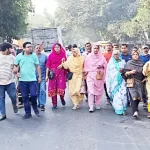 খুলনা অঞ্চলে কৃষকদের করলা চাষে আগ্রহ বাড়ছে, বিঘাপ্রতি ফলন ৩০ মণ