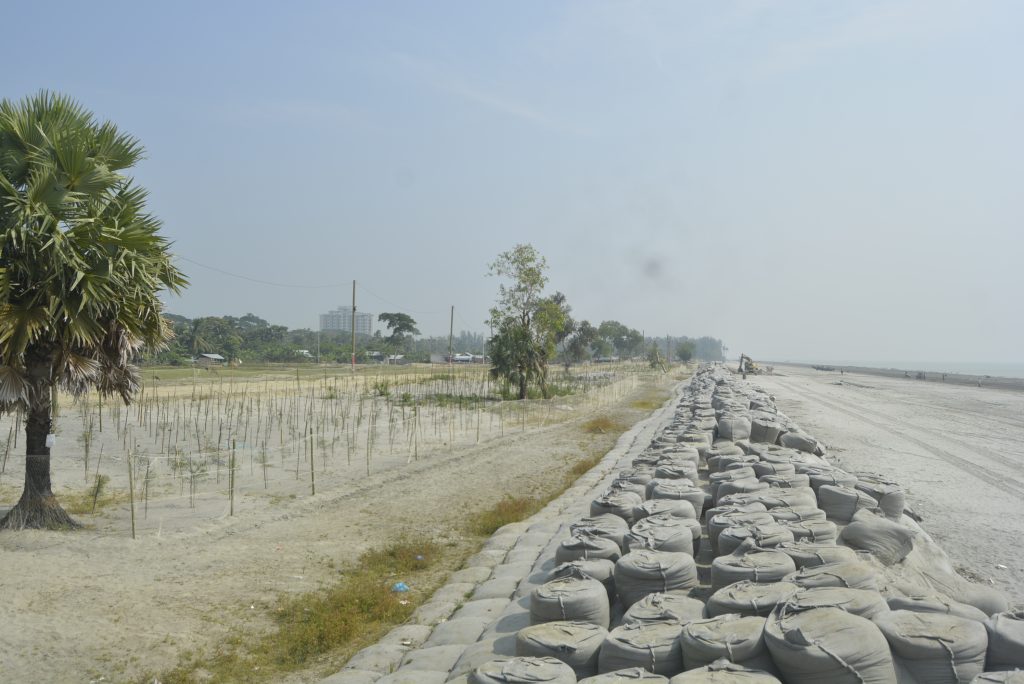 DSC0374