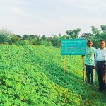 যশোরে বিএনপির ১৪ নেতাকর্মী আটক
