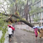 আওয়ামী লীগের ৩ মনোনয়ন ফরম কিনলেন সাকিব