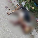 স্বামীর অধিকার ফিরে পেতে নির্যাতিত স্ত্রী ও সন্তানদের সংবাদ সম্মেলন