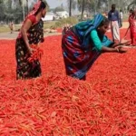 নওগাঁর সাপাহার কেন্দ্রের সব পরীক্ষার্থী ভুয়া, সচিবসহ ৫৮ জন আটক