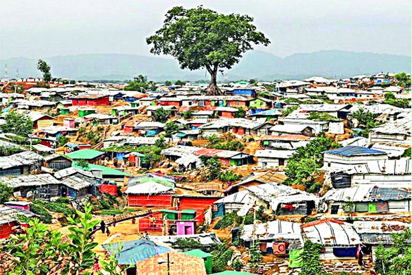 ৩০ হাজার টাকায় রোহিঙ্গারা হচ্ছে বাংলাদেশি! 5 BD Pratidin 2024 02 20 05