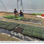 পোকখালী আদর্শ উচ্চ বিদ্যালয়ে বার্ষিক ক্রীড়া ও সাংস্কৃতিক প্রতিযোগিতা