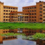 সূর্যমুখী চাষে সফল ত্রিশালের দুই শিক্ষার্থী