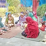 কৃষকের দু’চোখ ভরা স্বপ্ন সূর্যমুখী