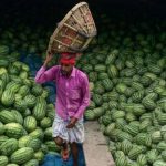 ছাত্রলীগ নেতাকর্মীরা বিশ্ববিদ্যালয় দখলের চেষ্টা করছে : মির্জা ফখরুল