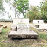 উপজেলা নির্বাচনে অনলাইনে মনোনয়ন দাখিল বাধ্যতামূলক