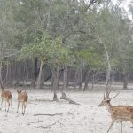 এমভি আবদুল্লাহ জাহাজের ক্যাপ্টেনের হাতে যাওয়ার আগে একটি চিঠি দেয় দস্যুদের প্রধান