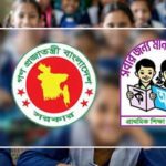 চিনি বিবির মানবেতর জীবন