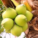 গাজার হাসপাতালে গণকবর শনাক্ত : জাতিসংঘের মানবাধিকার প্রধান আতঙ্কিত