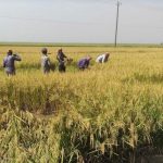 প্লাস্টিক পণ্য রপ্তানি বেড়েছে ১৮ শতাংশ