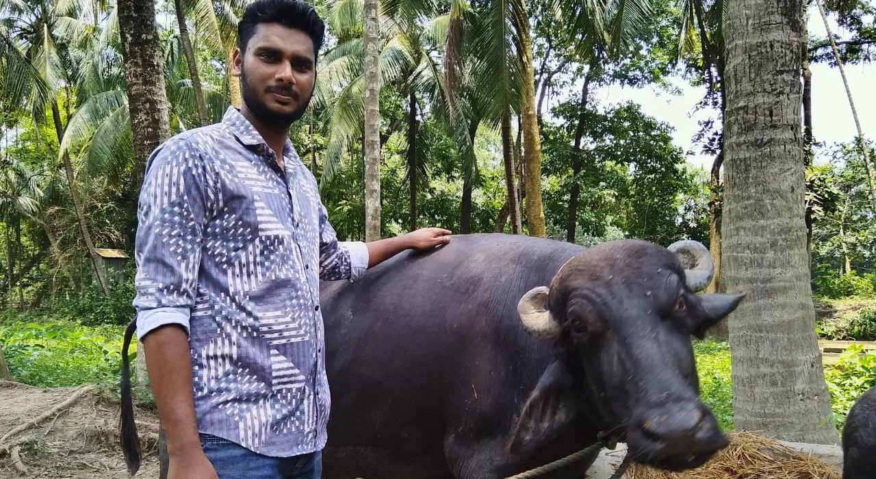 এমবিএ পাস জাবেদ এখন সফল খামারি 5 image 97003 1718536809
