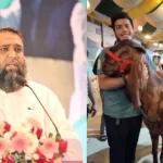 আমাকে আসবাবপত্রের মতো ব্যবহার করা হতো:রিমি সেন